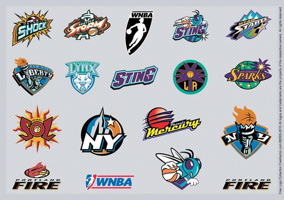 维尼修斯用 维尼修斯用